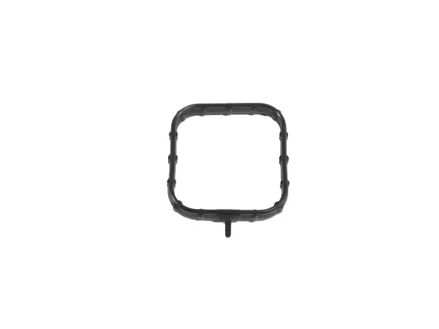 Water Pump Gasket - Mopar (68571989AB)