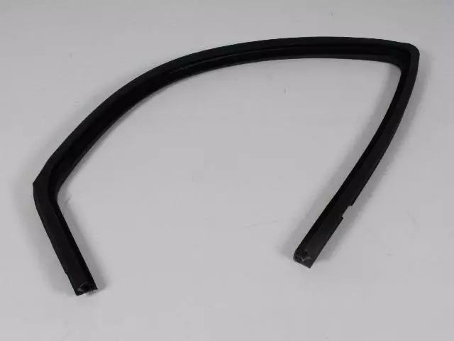 Front Door Glass Seal, Left - Mopar (55394053AL)