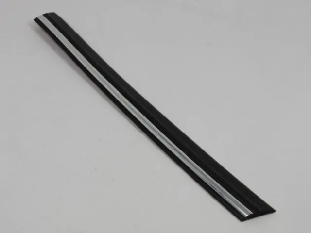 Molding - Mopar (55076490)