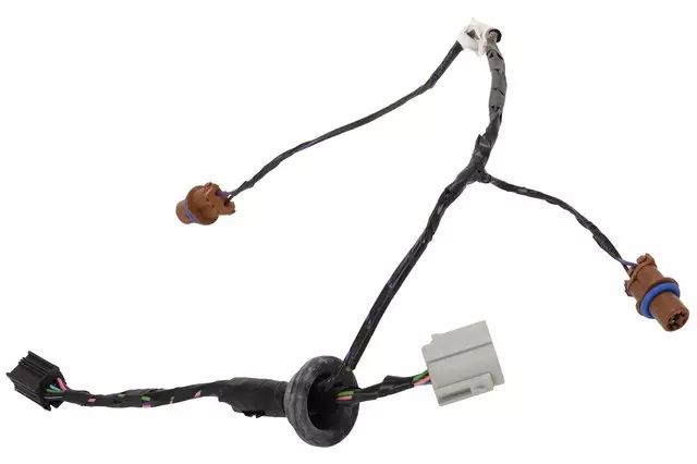 Rear License Plate Lamp Wiring Harness - GM (22894422)