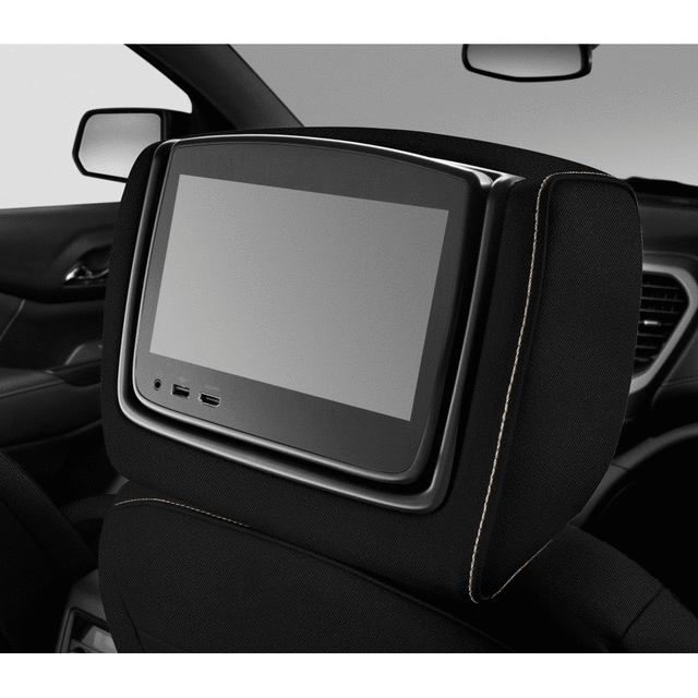 Headrest and Video Screen Assembly - GM (84690247)