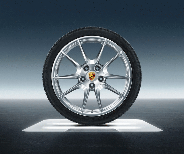 99104460054 - : 20-Inch Carrera S Winter Wheel-And-Tire Set for Porsche Image