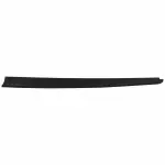FL3Z99291A41AA - Body: Truck Bed Molding for Ford: F-150 Image