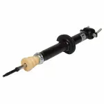 ASH24563 - : Shock Absorber Assembly for Ford: F-150 Image