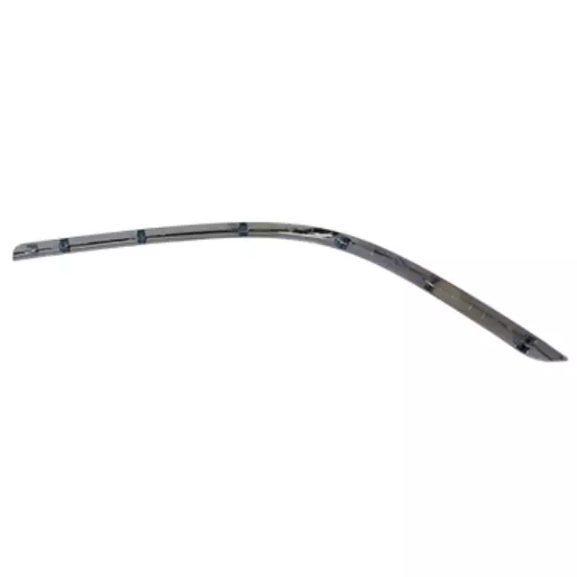 Cover Molding - Ford (3W1Z-17C829-AA)