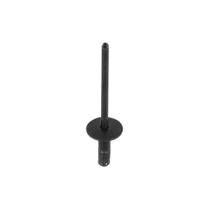                                     Outer Molding Rivet
                                