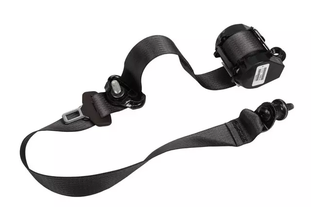 19355568 - Electrical: Outer Belt Assembly for Buick: Enclave | GMC: Acadia, Acadia Limited Image