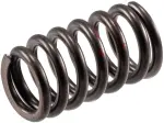 VS2234 - : Stock Replacement Valve Spring for Melling Image