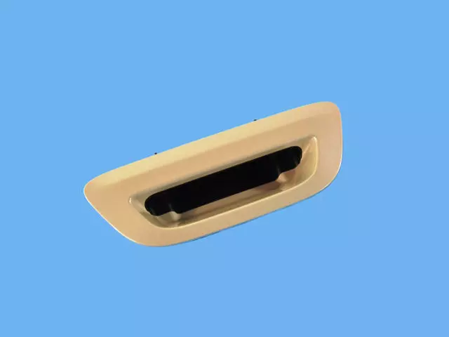 Lift-Gate Handle - Mopar (5RP08PW2AB)