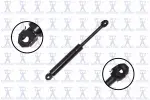 84104 - : Hood Lift Support for Focus Auto Parts Image