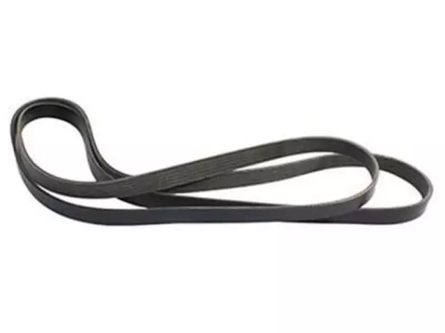 Serpentine Belt - Ford (3W3Z-8620-AA)