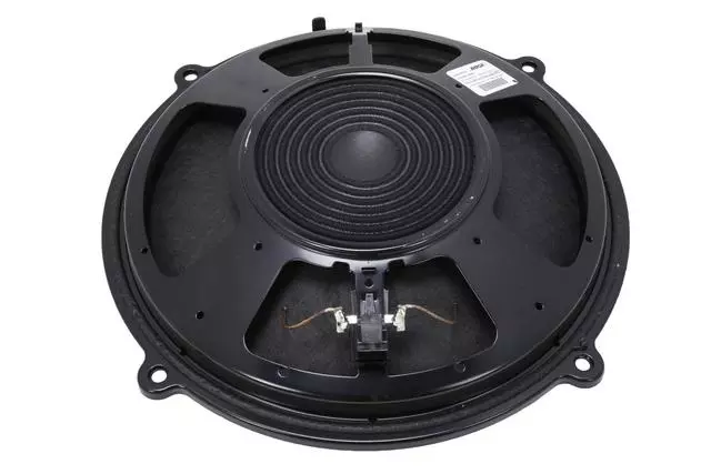 20839909 - Body: Rear Speaker for GM Image