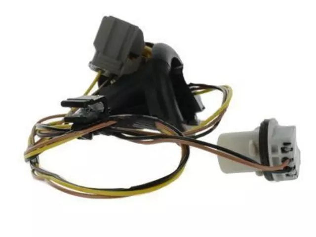 Socket & Wire - Ford (DG1Z-13410-F)