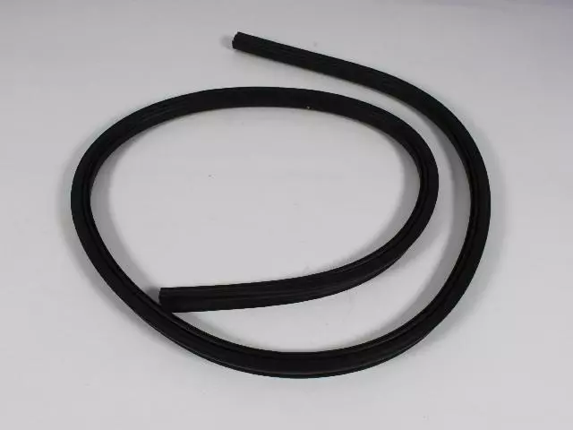 Liftgate Glass Weatherstrip - Mopar (55363160AD)