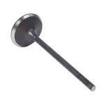 IM4468 - : Engine Intake Valve for Enginetech Image