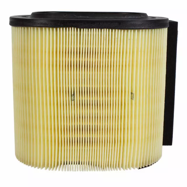 Air Filter - Ford (HC3Z-9601-A)