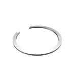 68094810AA - Brakes: Retaining Ring for Ram: ProMaster 1500, ProMaster 2500, ProMaster 3500, ProMaster EV Image