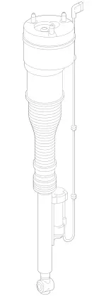 222320821389 - : Remanufactured Air Spring Strut for Mercedes-Benz Image