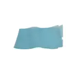 68088806AA - Doors, Door Mirrors and Related Parts: Anti-chip Film, Right for Mopar Image