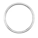 8424 - : Exhaust Pipe Flange Gasket for AP Exhaust Image