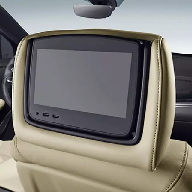 Headrest and Video Screen Assembly - GM (84687339)