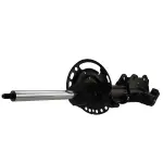 AST85998 - : Motorcraft™ Strut for Lincoln: Corsair Image