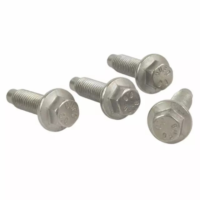 Exhaust Pipe Screw - Ford (W500224-S450)