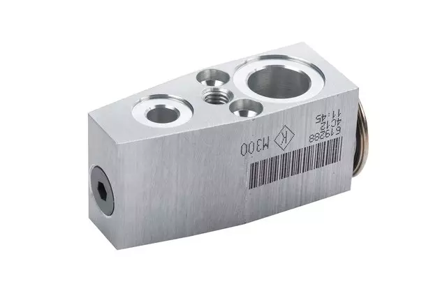 Air Conditioning Thermal Expansion Valve Kit with Tube Seals, Valve Seals, Valve, Plate, Stud, and Bolts - GM (95423626)