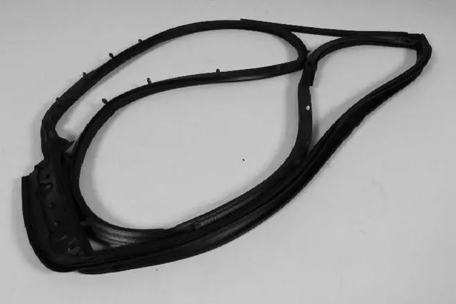 Rear Door Mounted Weatherstrip, Left - Mopar (68040047AO)