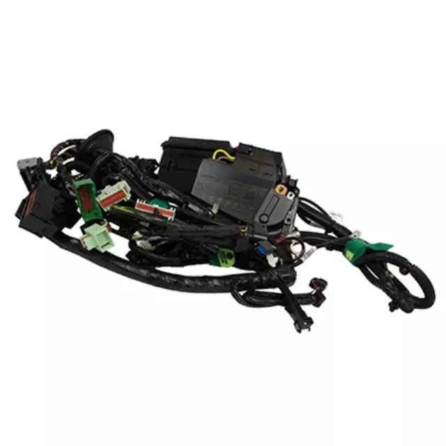 Wire Assembly - Ford (FT1Z-14290-DW)