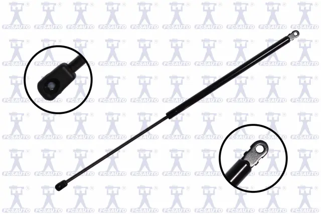 84743 - Exterior: Hood Lift Support for Focus Auto Parts Image