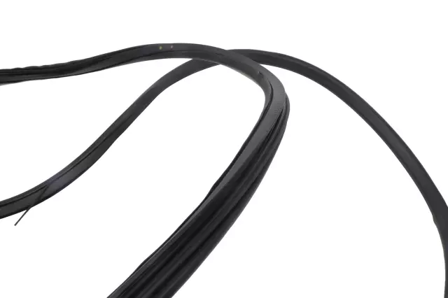 84360723 - : Rear Side Door Body Side Weatherstrip for GM Image