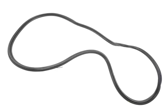 Body Weather-Strip - GM (39147376)