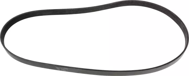 117203SG0B - : Serpentine Belt for Nissan Image