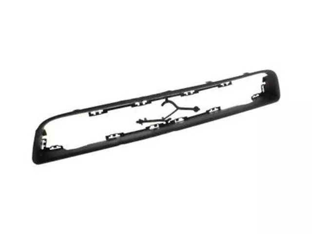 Grille Molding - Ford (DR3Z-8419-BA)