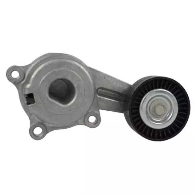 Motorcraft™ Accessory Drive Belt Tensioner Assembly - Ford (BT-137)