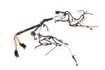 12650446 - : Engine Wiring Harness for GM Image