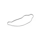 5184454AE - : Crossover Water Outlet Gasket for Mopar Image