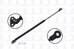84811 - : Liftgate Lift Support for Focus Auto Parts Image