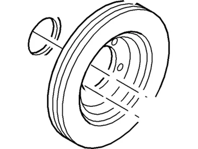 Rotor - Ford (2U2Z-1V125-B)