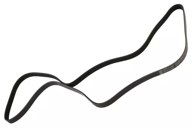 12653318 - : V-Ribbed Serpentine Belt for GM Image