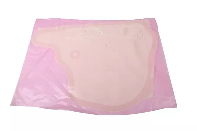 42547950 - Body: Water Deflector for GM Image