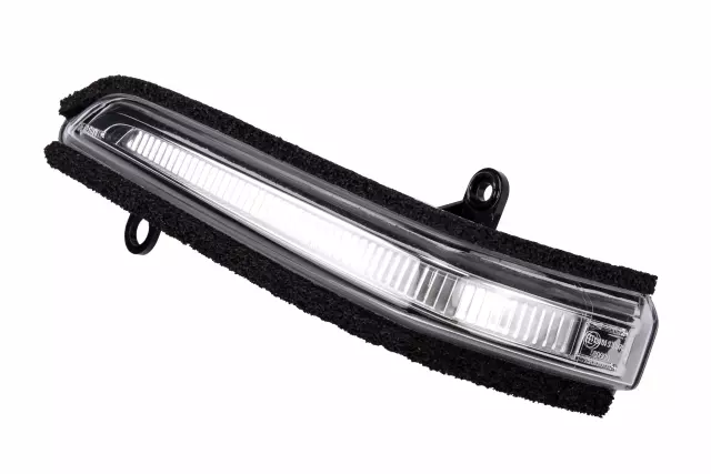 95262026 - : Lamp Assembly-O/S Rear View Mirror T/Sig for GM Image