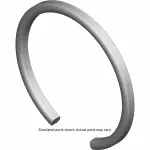 23347685 - : Ring for GM Image