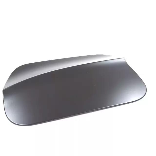 Door - Volkswagen (3CN-809-909-GRU)