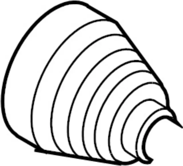 Outer Boot - Infiniti (C9241-EA00K)