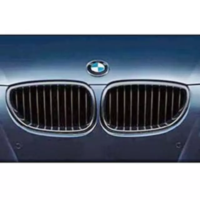 51712155447 - : E60/61 5 Series M Performance Black Kidney Grille - Left for BMW: 528i xDrive Image
