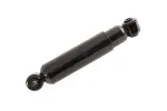 19407869 - : B (S)Absorber for GM Image