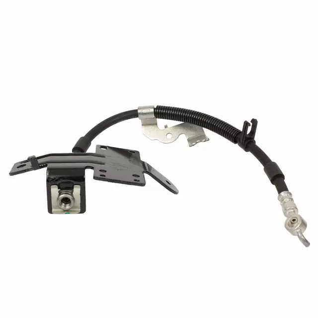 DG9Z2282M - Brakes: Brake Hose for Ford: Fusion, Police Responder Hybrid, SSV Plug-In Hybrid | Lincoln: MKZ Image