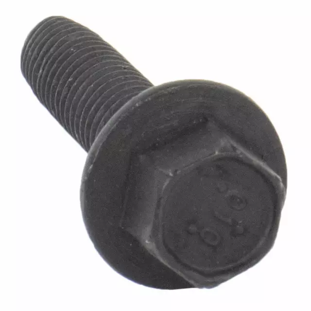 Water Pump Mount Bolt - Ford (W500015-S424)